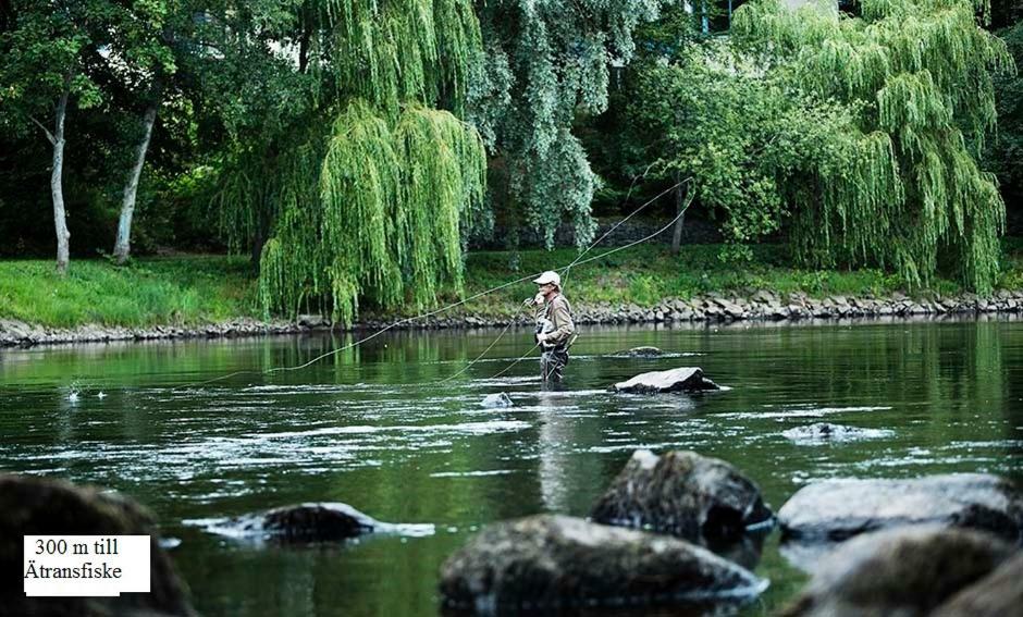 Laegenhet I Falkenberg Zewnętrze zdjęcie